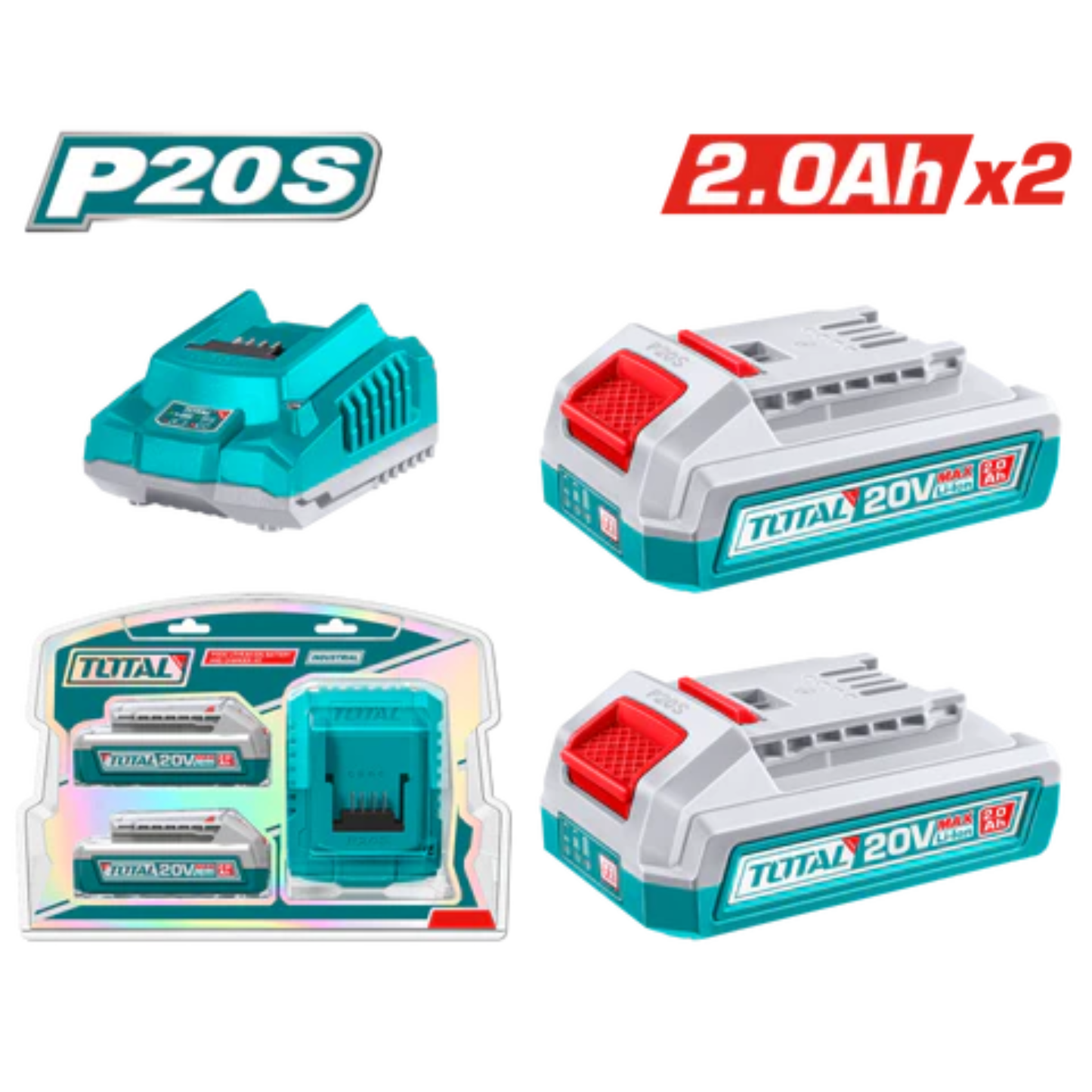 P20S Lithium-Ion battery and charger kit TFBCPK1222