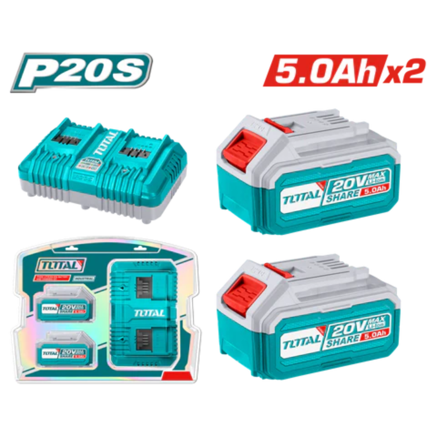 P20S Lithium-Ion battery and charger kit TFBCPK2425